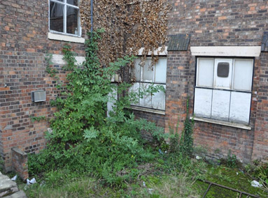 Rear Elevation Renovation by Gavin Edmondson Solicitors