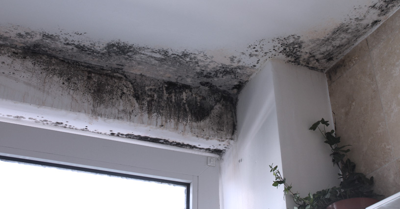 Housing Disrepair Claims